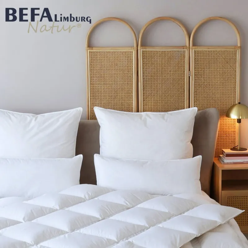 Kopfkissen 30% Daunen (2 Stück Set) | BEFA Limburg