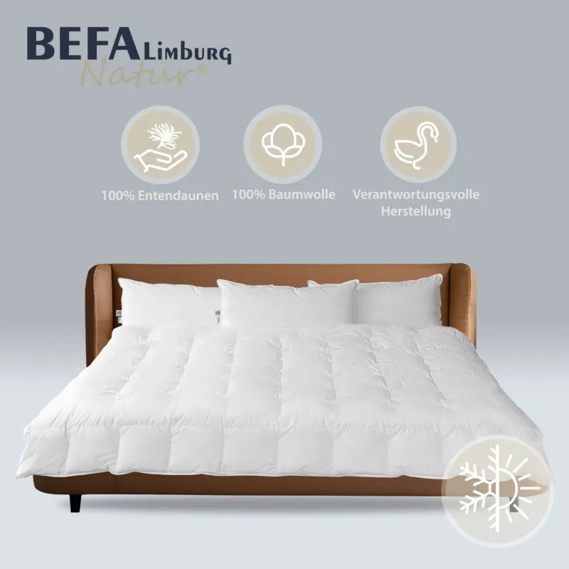 Reine Daunendecke - 100% Daune, Ganzjahr (2 Stück Set) | BEFA Limburg